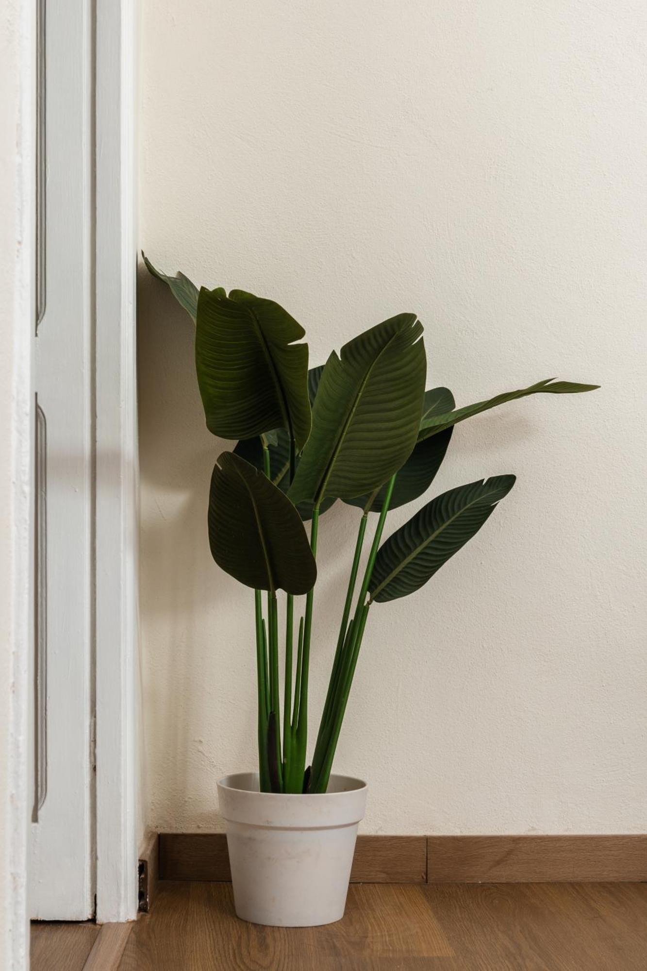Cozy Historical Flat * Neapel